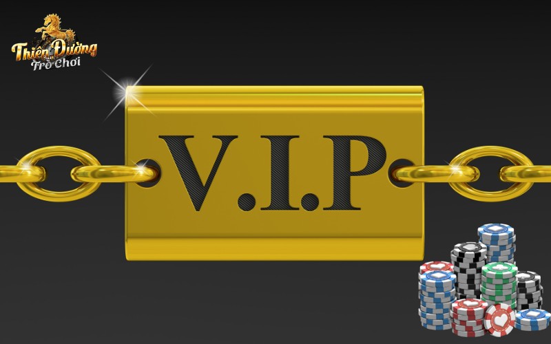 Cần lưu ý gì khi tham gia thành viên VIP?